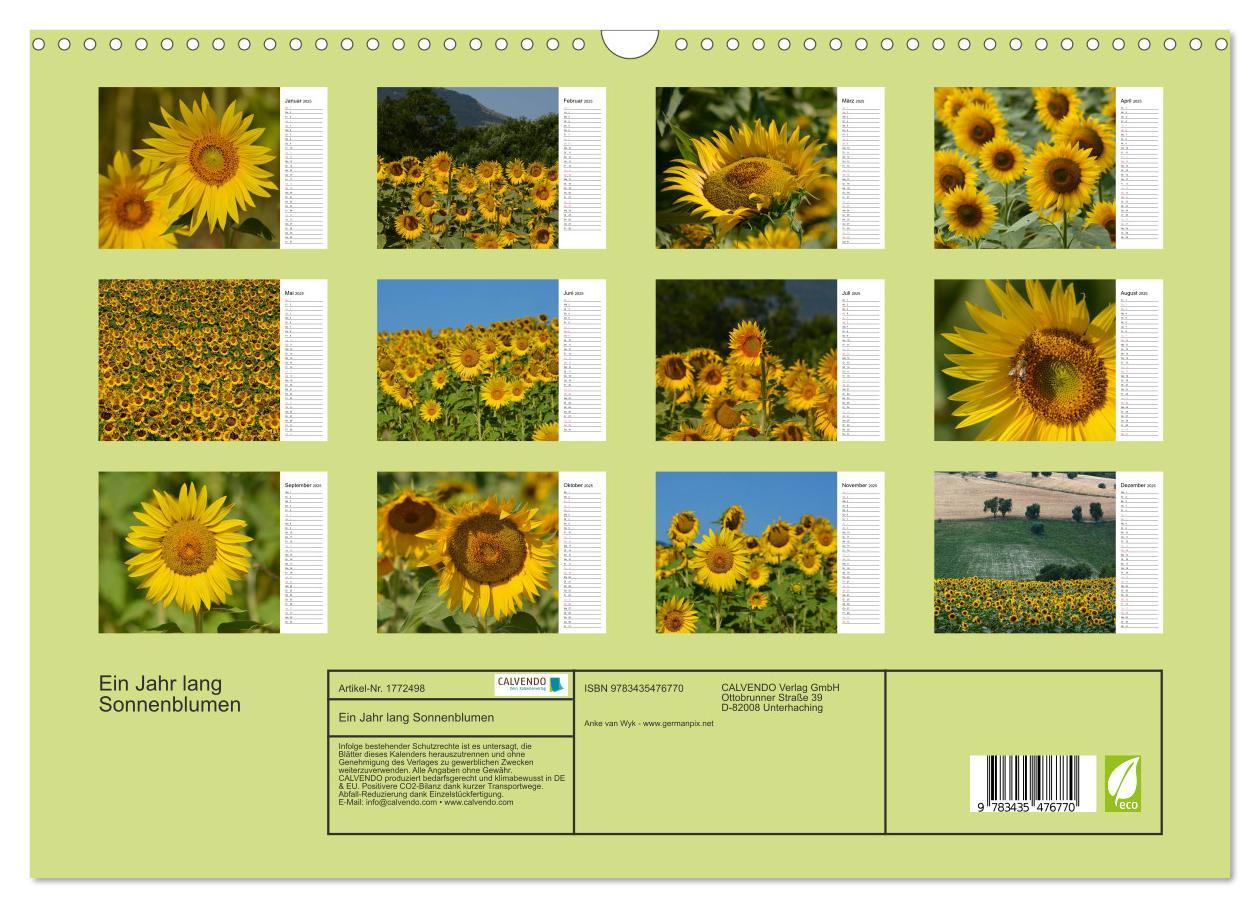 Bild: 9783435476770 | Ein Jahr lang Sonnenblumen (Wandkalender 2025 DIN A3 quer),...