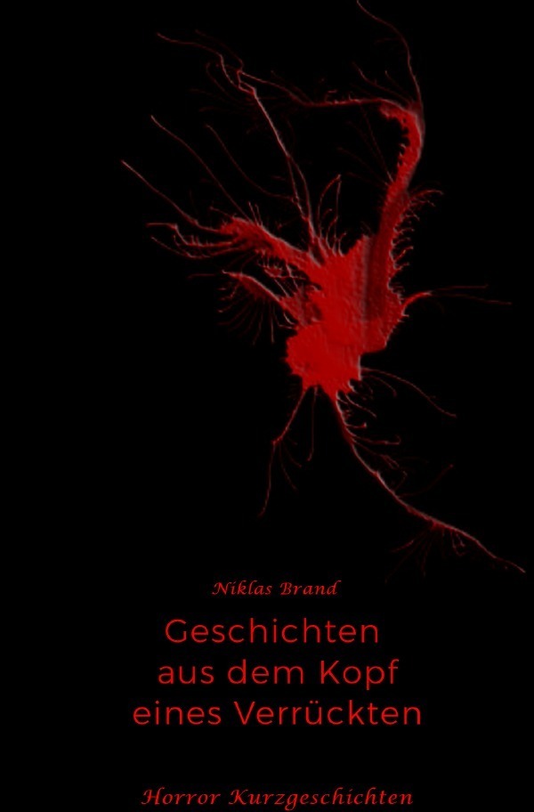 Cover: 9783746766256 | Geschichten aus dem Kopf eines Verrückten | Niklas Brand | Taschenbuch