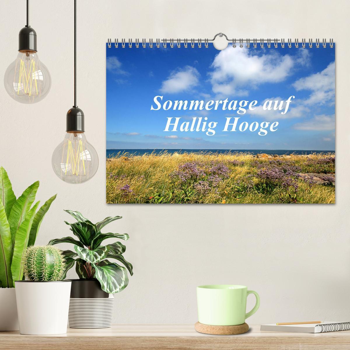 Bild: 9783435257249 | Sommertage auf Hallig Hooge (Wandkalender 2025 DIN A4 quer),...