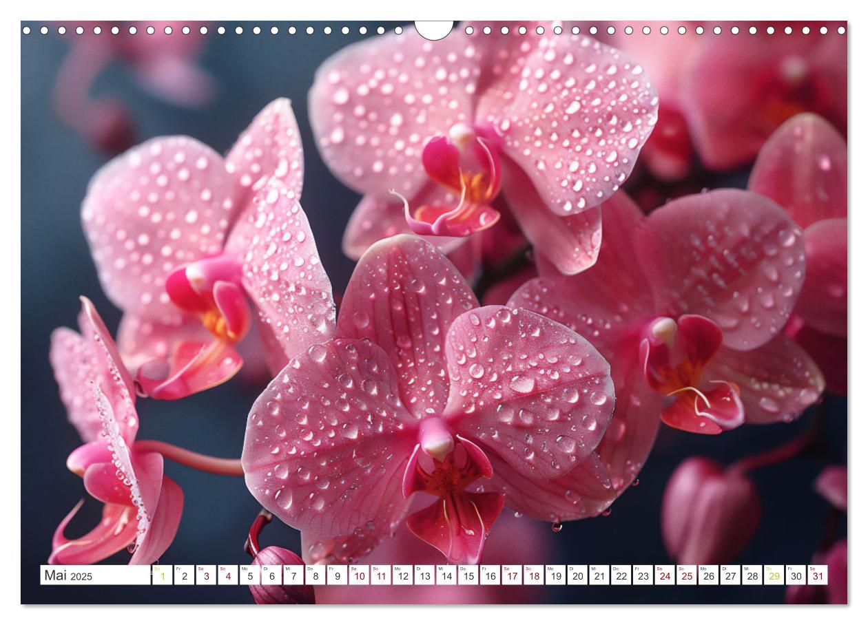 Bild: 9783457165126 | Orchideen - farbenfroh durchs Jahr (Wandkalender 2025 DIN A3 quer),...