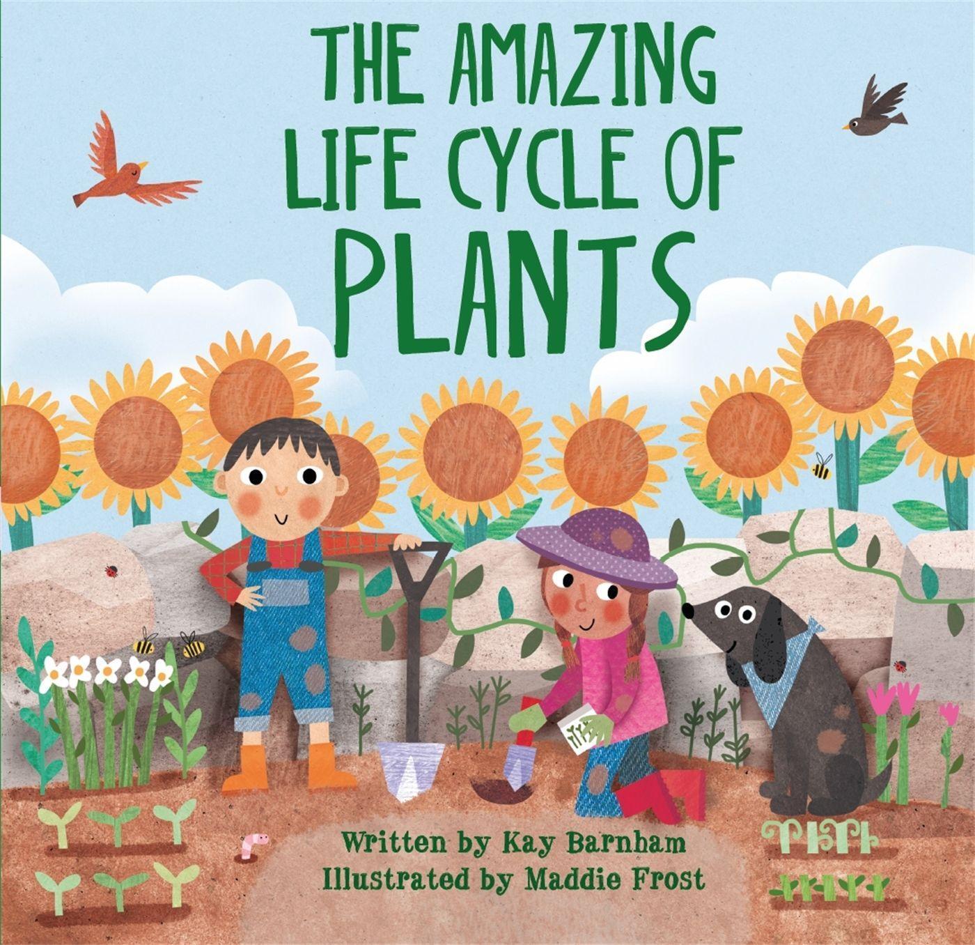 Cover: 9780750299589 | Look and Wonder: The Amazing Plant Life Cycle Story | Kay Barnham