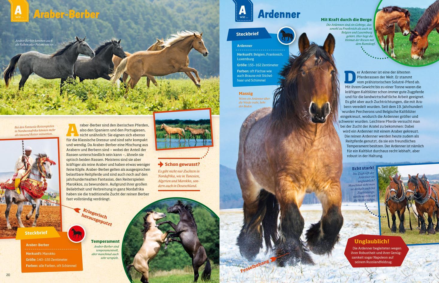 Bild: 9783788621865 | Was ist was: Pferde und Ponys | Silke Behling | Buch | 192 S. | 2016