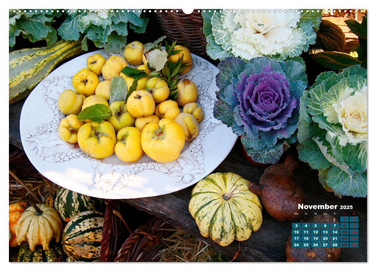 Bild: 9783383988493 | Urlaub im Garten (Wandkalender 2025 DIN A2 quer), CALVENDO...