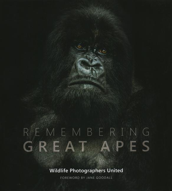 Cover: 9781999643300 | Remembering Great Apes | Margot Raggett | Buch | Gebunden | Englisch