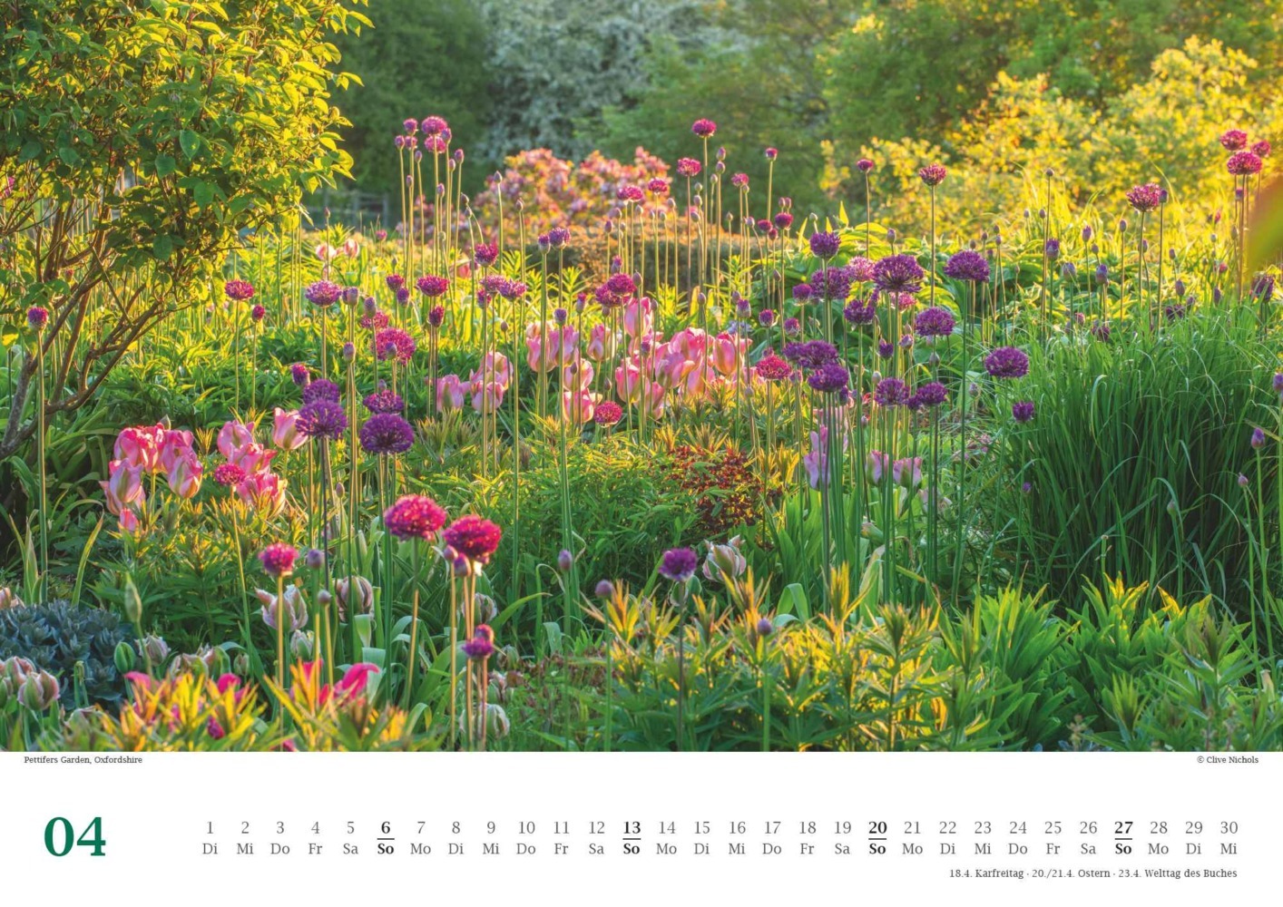 Bild: 4250809653617 | DUMONT - Traumhafte Gartenbeete 2025 Wandkalender, 42x29,7cm,...