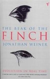 Cover: 9780099468714 | The Beak Of The Finch | Jonathan Weiner | Taschenbuch | Englisch
