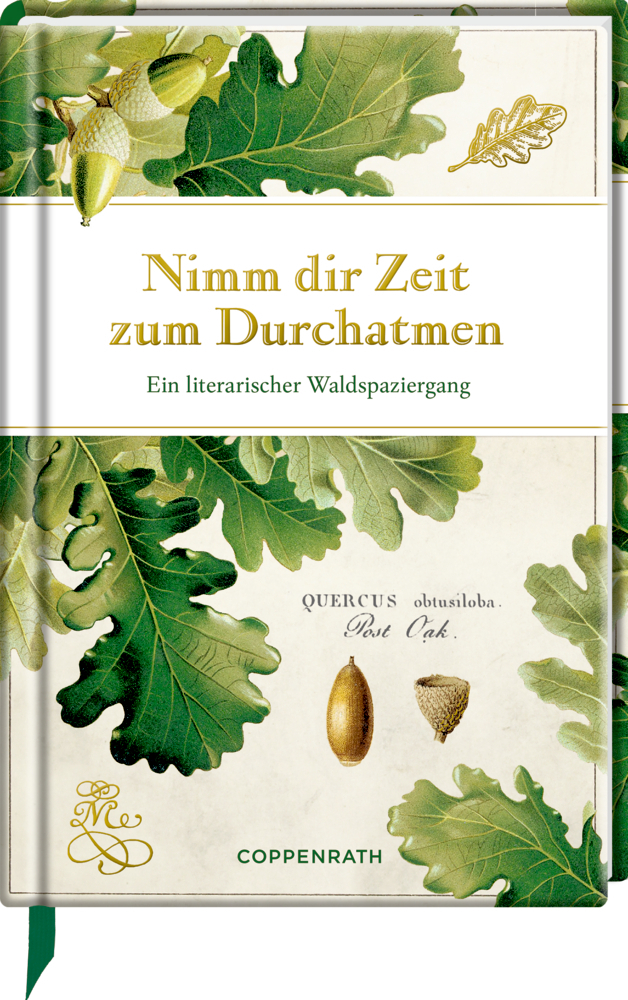 Cover: 9783649636953 | Nimm dir Zeit zum Durchatmen | Ein literarischer Waldspaziergang