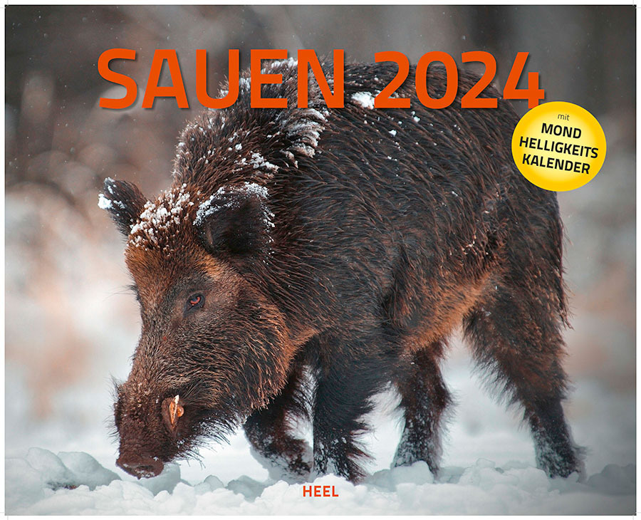 Cover: 9783966645881 | Sauen Kalender 2024 Jagd-Kalender im XXL-Format | Kalender | 14 S.