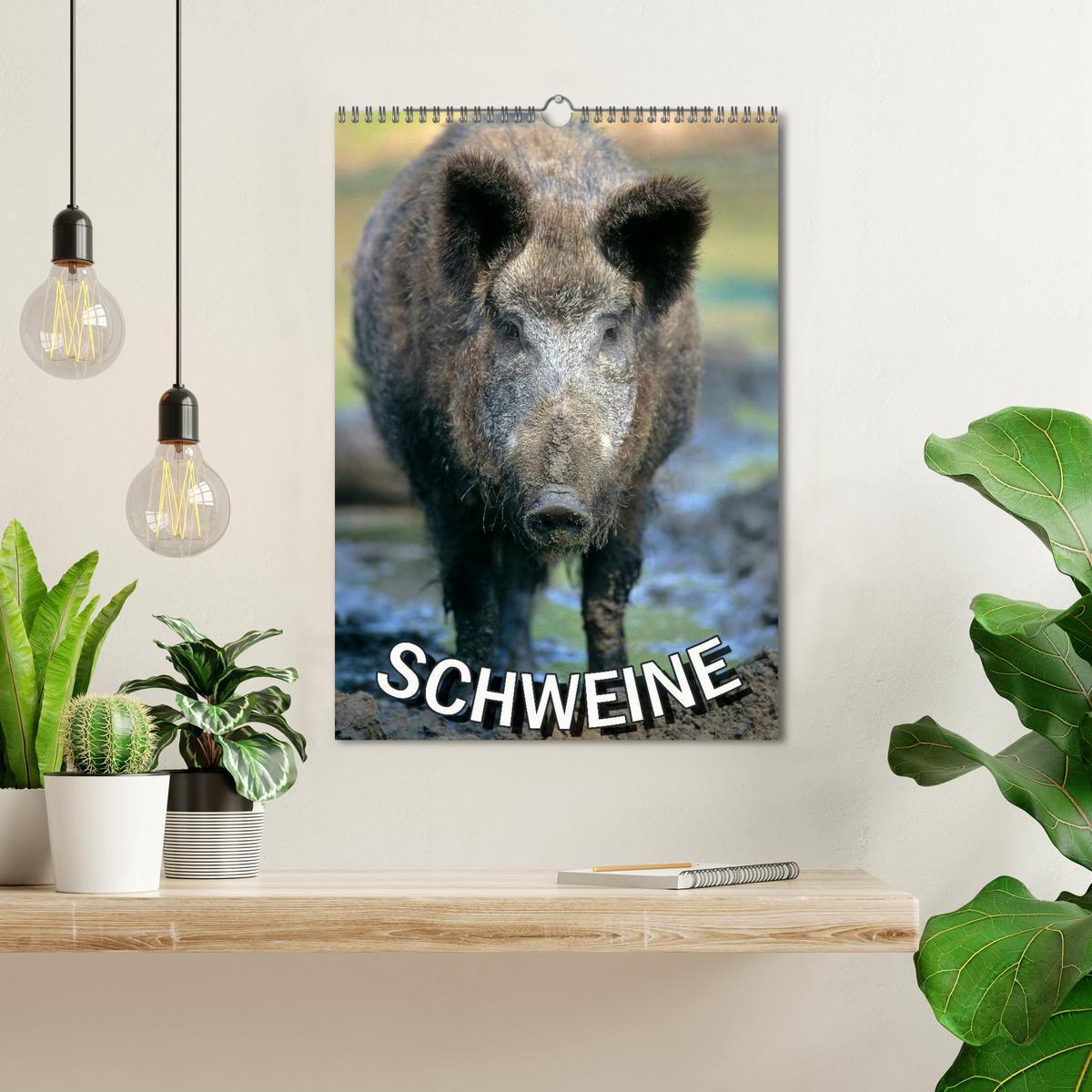 Bild: 9783457077863 | Schweine 2025 (Wandkalender 2025 DIN A3 hoch), CALVENDO Monatskalender