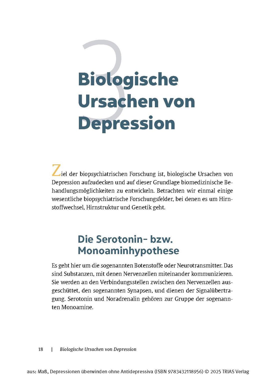 Bild: 9783432118956 | Depressionen überwinden ohne Antidepressiva | Reinhard Maß | Buch