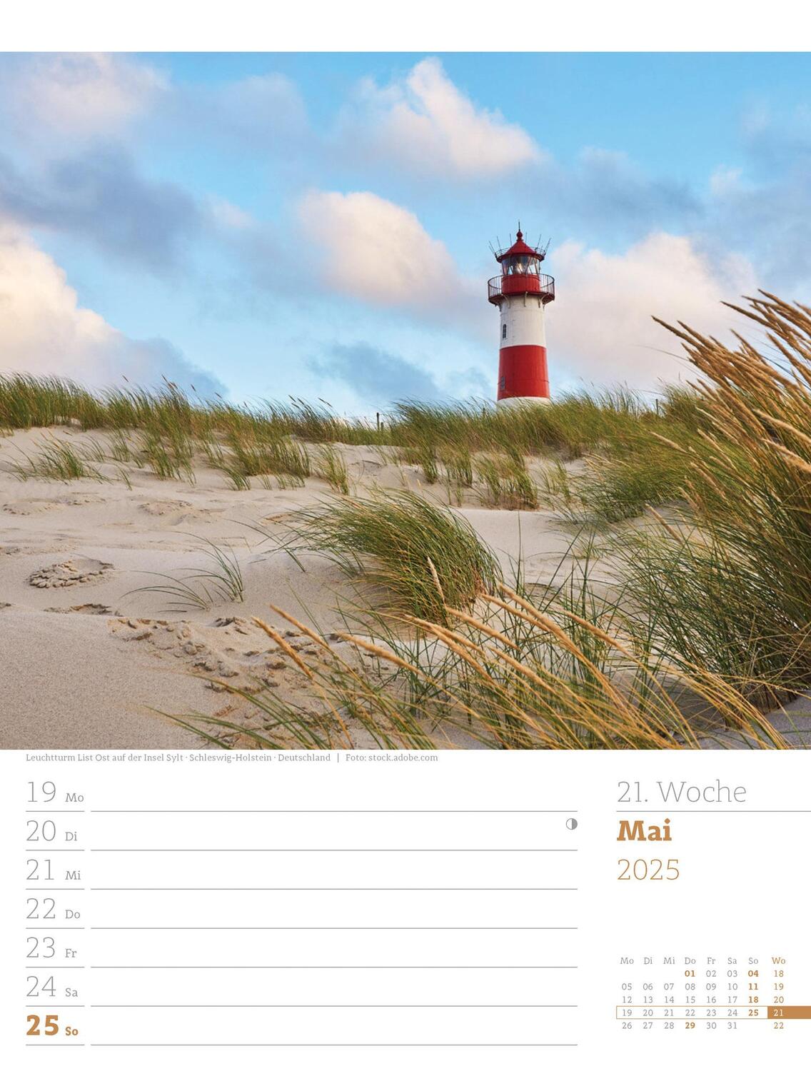 Bild: 9783838435039 | Am Meer - Wochenplaner Kalender 2025 | Ackermann Kunstverlag | 56 S.