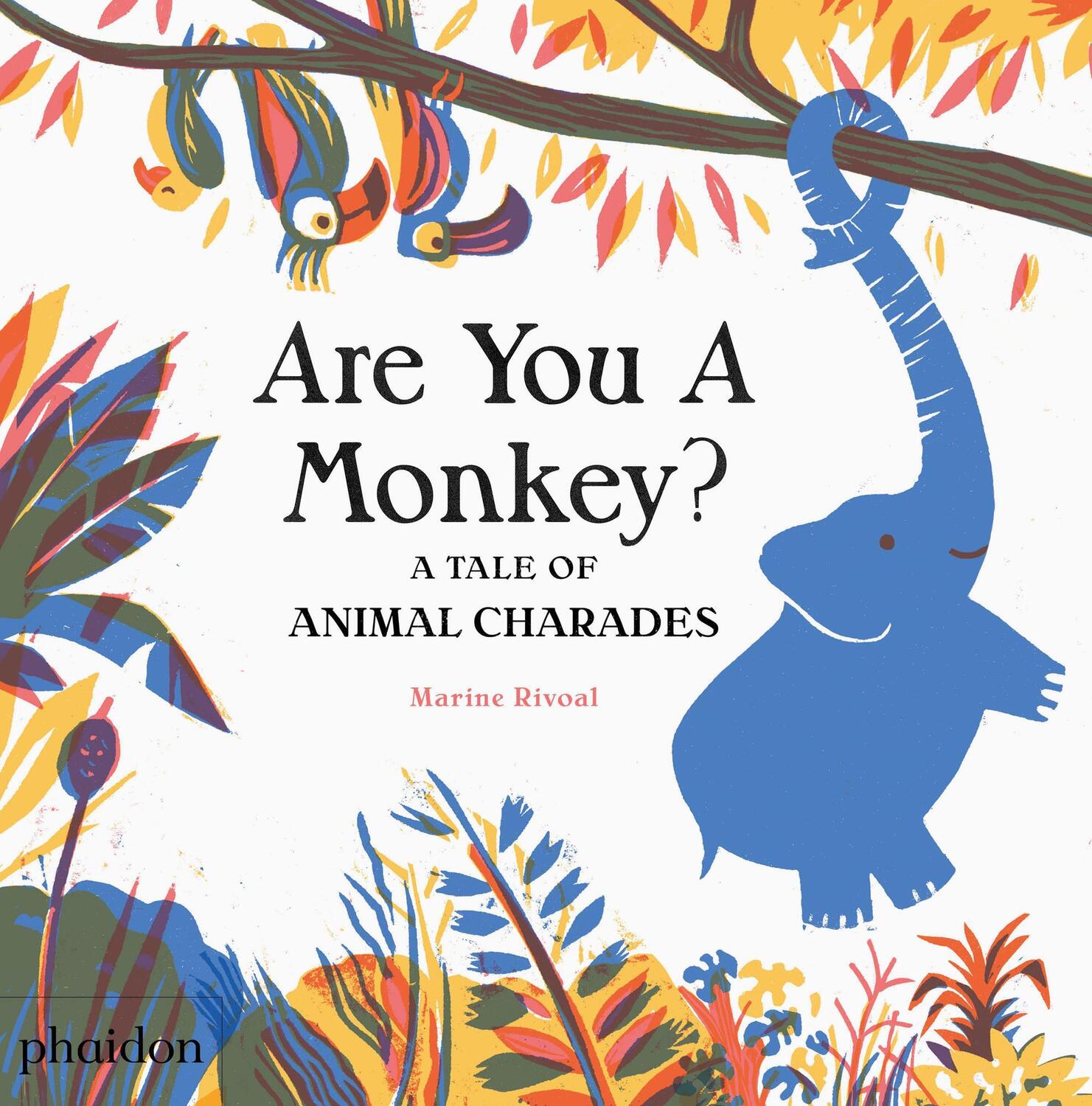 Cover: 9780714874173 | Are You A Monkey? | A Tale of Animal Charades | Marine Rivoal | Buch