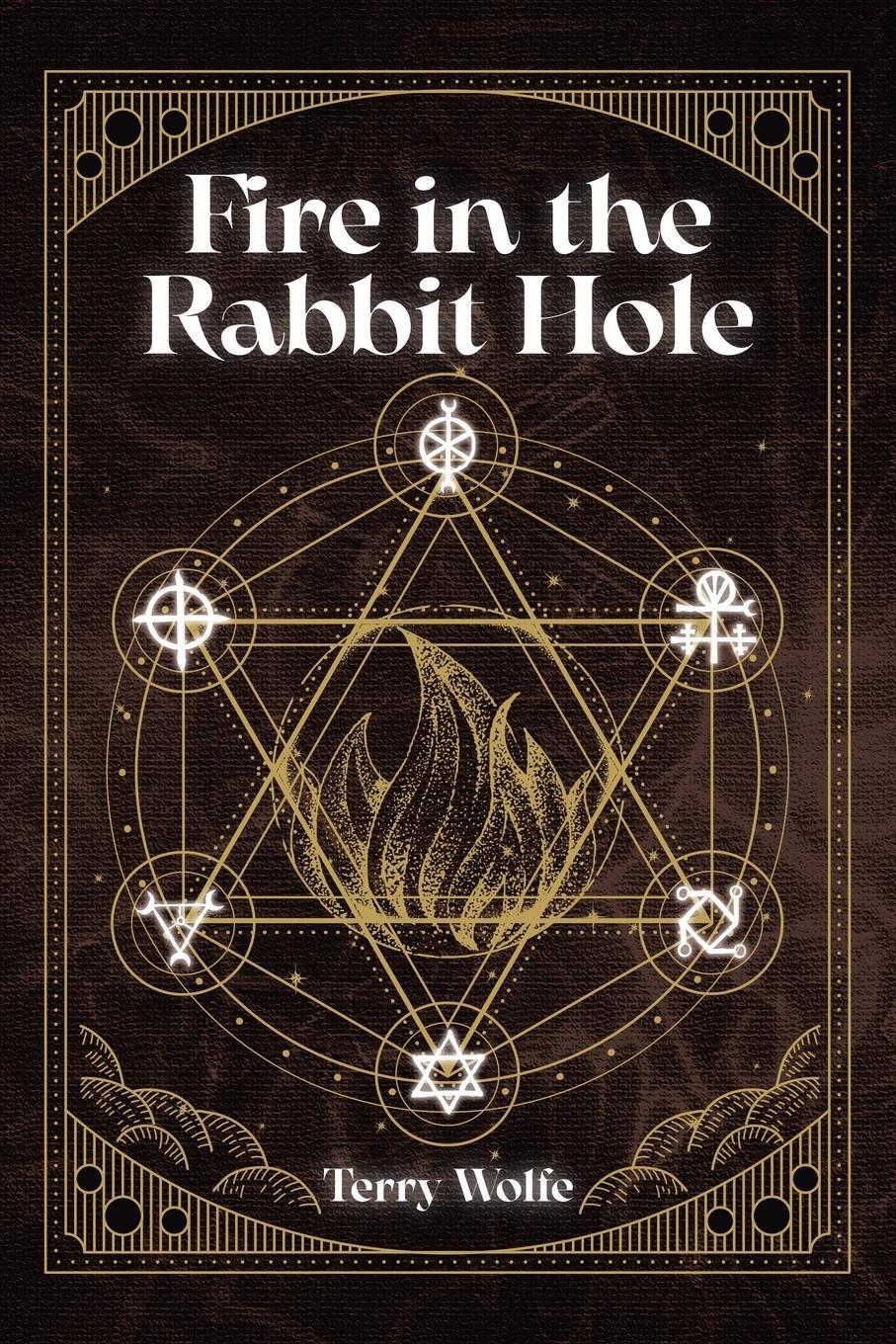 Cover: 9780228873457 | Fire in the Rabbit Hole | Terry Wolfe | Taschenbuch | Paperback | 2022