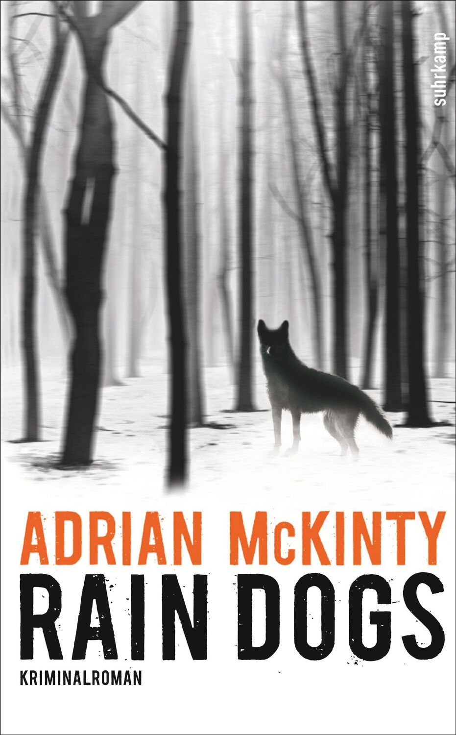 Cover: 9783518468685 | Rain Dogs | Adrian Mckinty | Taschenbuch | Sean Duffy | 404 S. | 2018