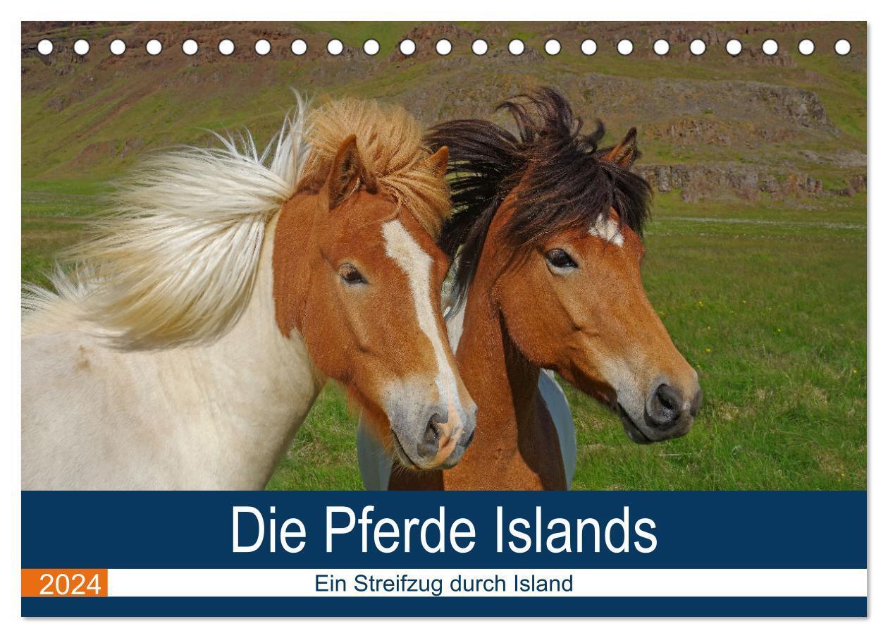 Cover: 9783383398384 | Die Pferde Islands - Ein Streifzug durch Island (Tischkalender 2024...