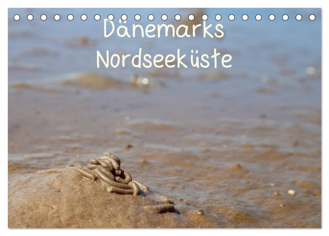 Cover: 9783383557729 | Dänemarks Nordseeküste (Tischkalender 2024 DIN A5 quer), CALVENDO...