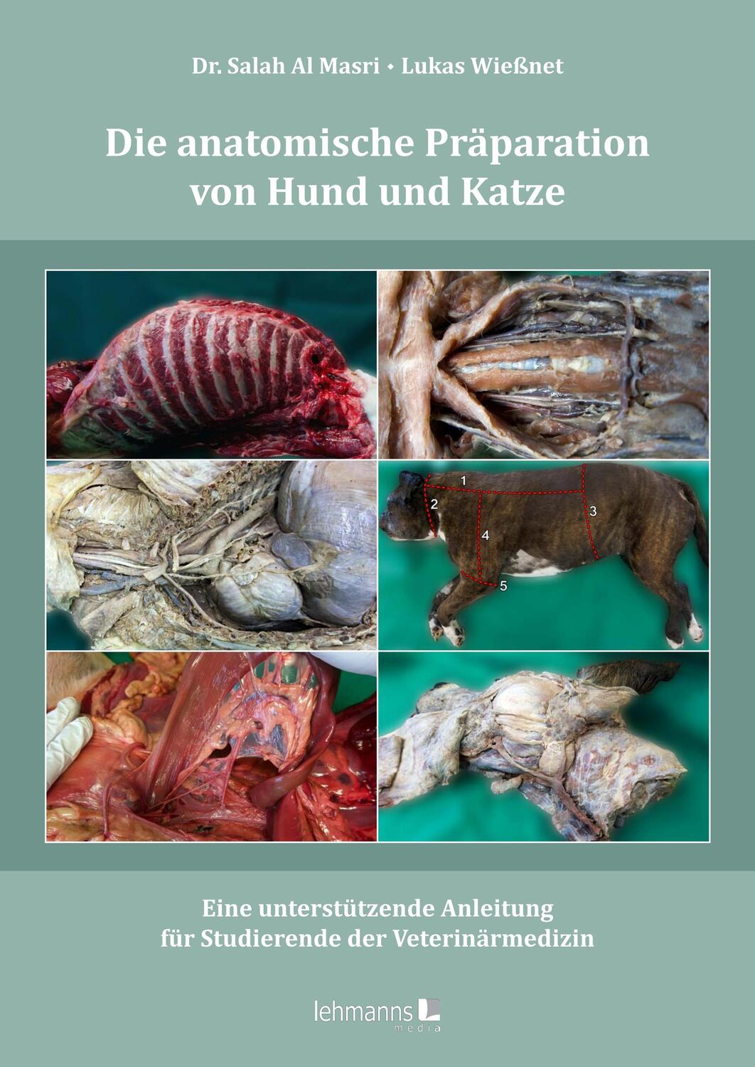 Cover: 9783965434554 | Die anatomische Präparation von Hund und Katze | Masri (u. a.) | Buch