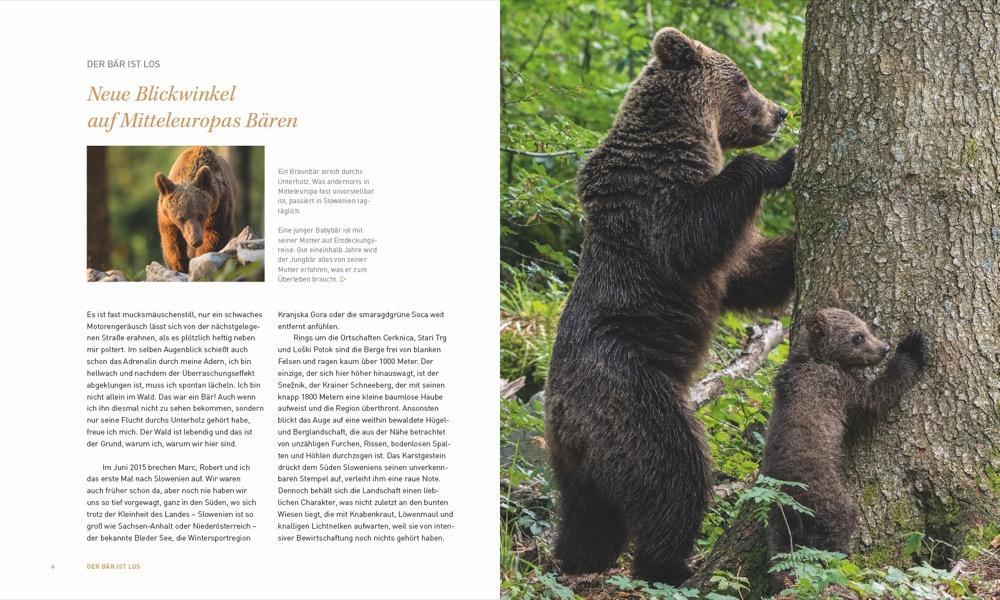 Bild: 9783954162826 | Unter wilden Bären | Der neue Nachbar in unseren Wäldern | Buch | 2019