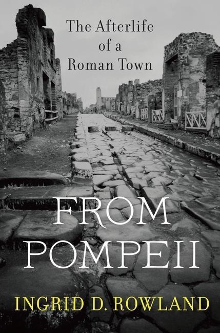 Cover: 9780674088092 | From Pompeii | The Afterlife of a Roman Town | Ingrid D Rowland | Buch