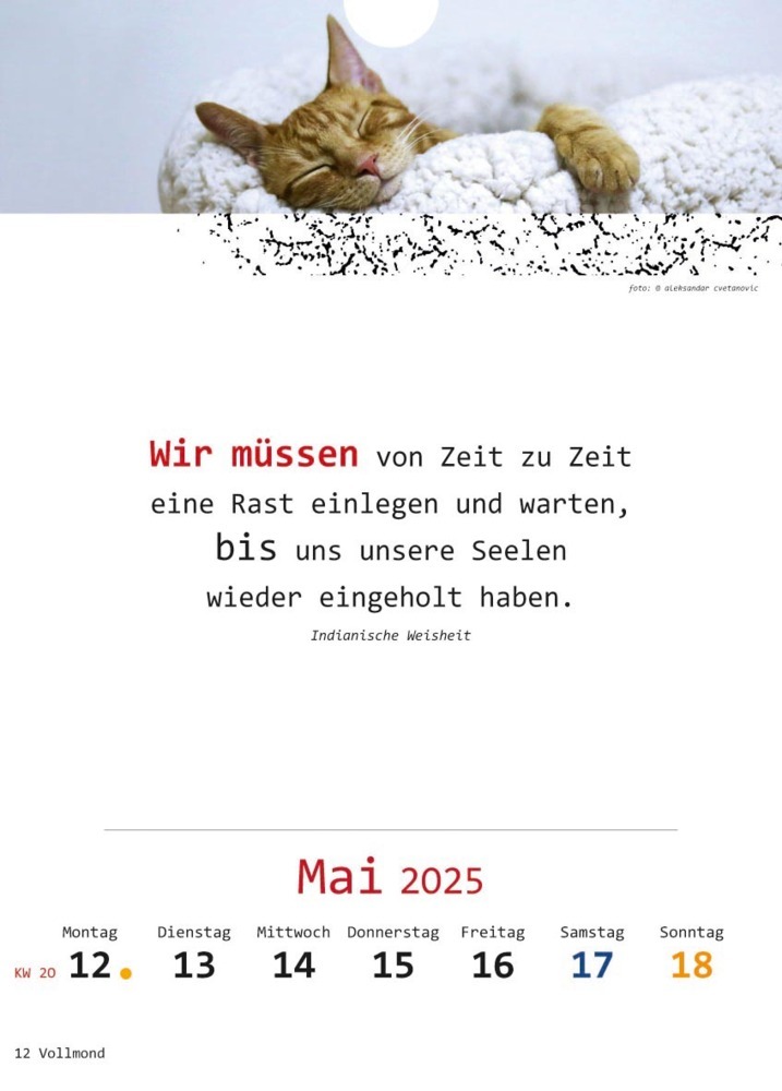 Bild: 9783948276348 | Ich-Kalender 2025 | Kalender | 54 S. | Deutsch | 2025 | Vision Creativ