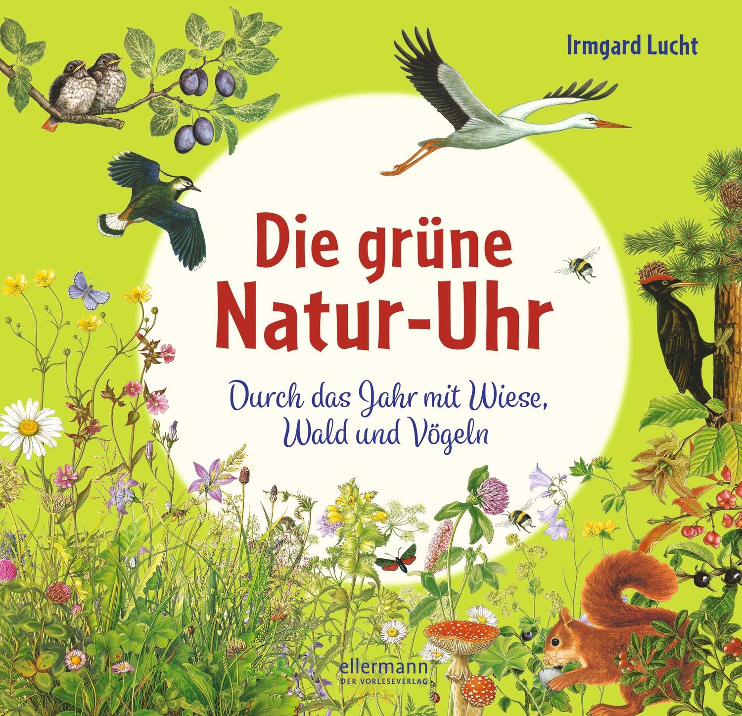 Cover: 9783770700684 | Die grüne Natur-Uhr | Durch das Jahr mit Wiese, Wald und Vögeln | Buch