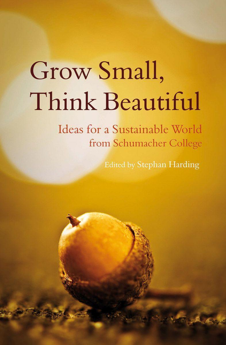Cover: 9780863158353 | Grow Small, Think Beautiful | Stephan Harding | Taschenbuch | Englisch