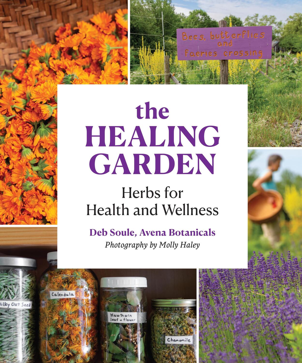 Cover: 9781616899264 | The Healing Garden | Herbs for Health and Wellness | Deb Soule | Buch