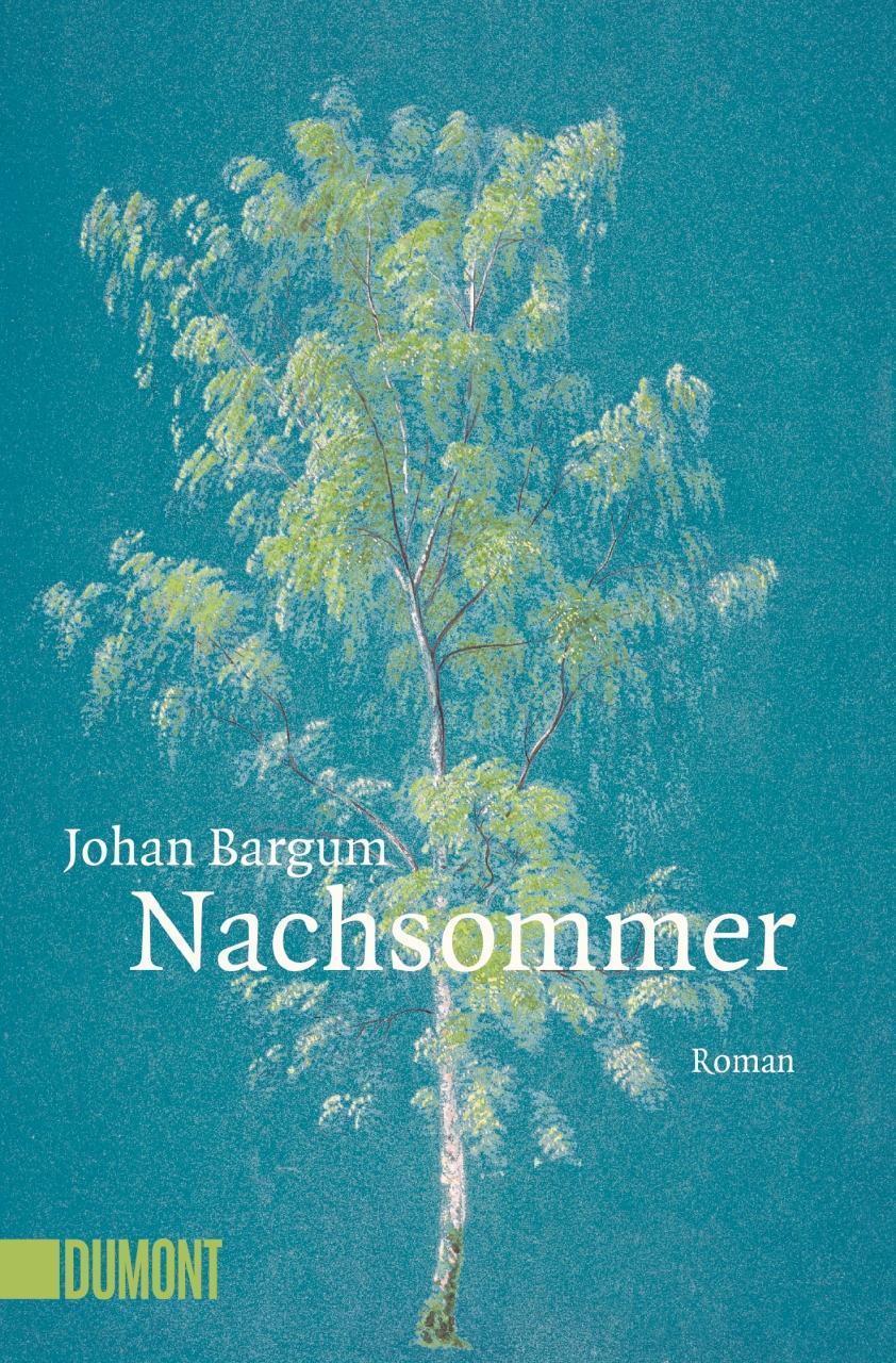 Cover: 9783832164768 | Nachsommer | Johan Bargum | Taschenbuch | Deutsch | 2019