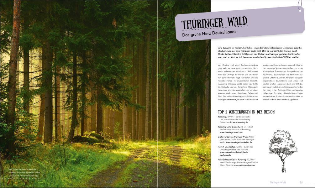 Bild: 9783734320255 | Wälder, Wandern, Wochenend' | Julia Schattauer | Taschenbuch | 168 S.