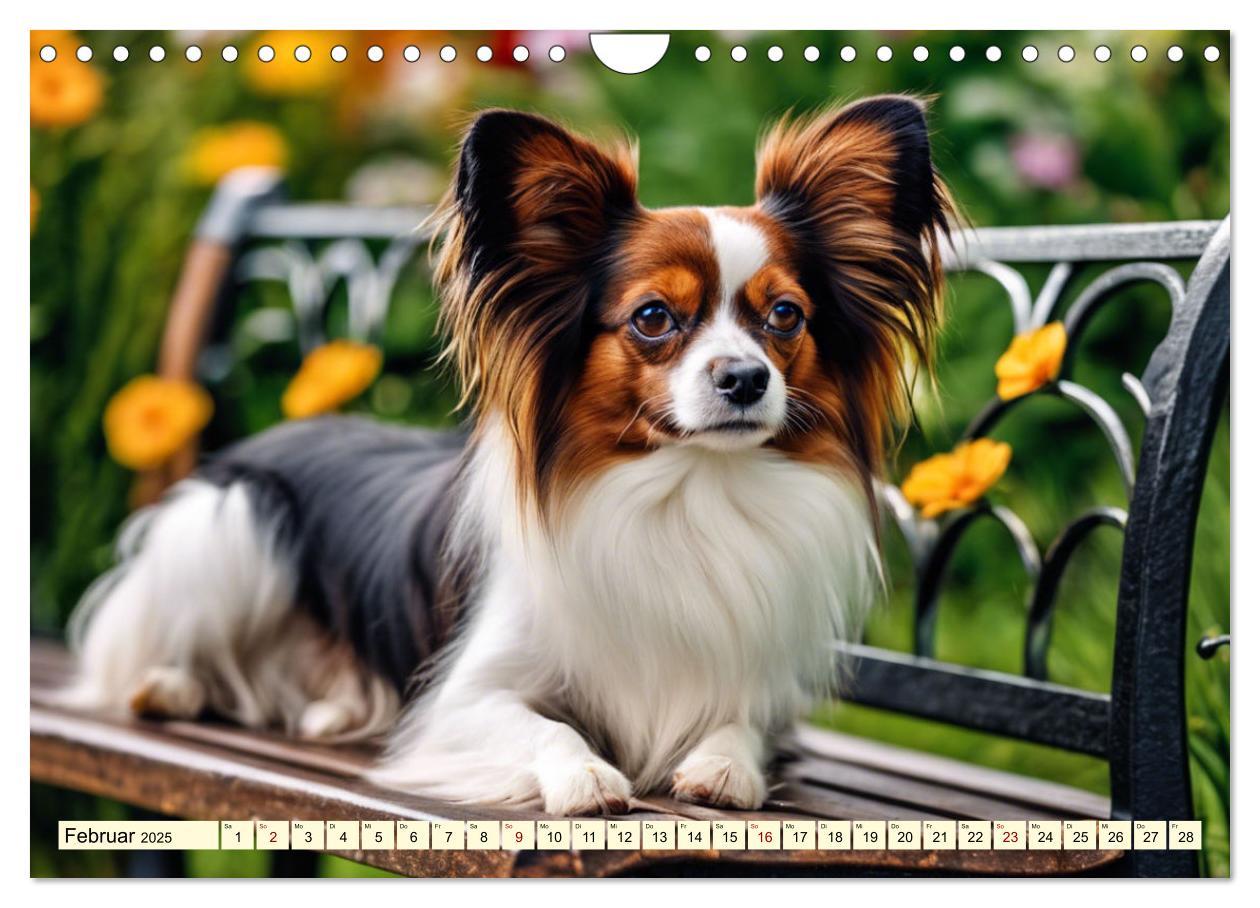 Bild: 9783457124581 | Papillon - bringt jedes Herz zum Schmelzen (Wandkalender 2025 DIN...