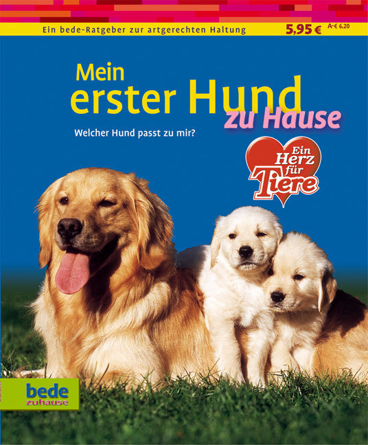 Cover: 9783898601764 | Mein erster Hund zu Hause | Welcher Hund passt zu mir? | Kieselbach