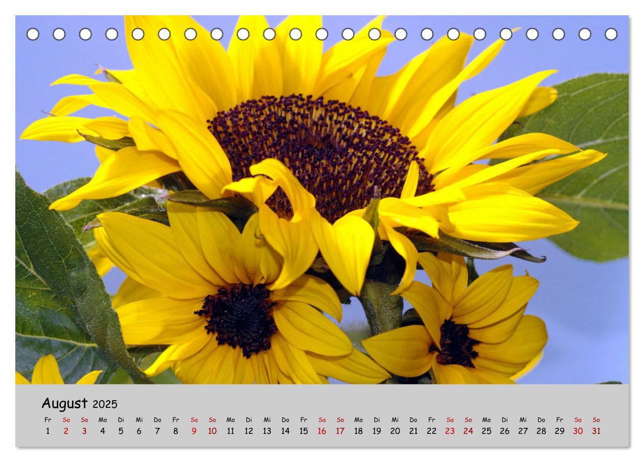 Bild: 9783435227211 | Blumen überall, zur Freude Menschen (Tischkalender 2025 DIN A5...