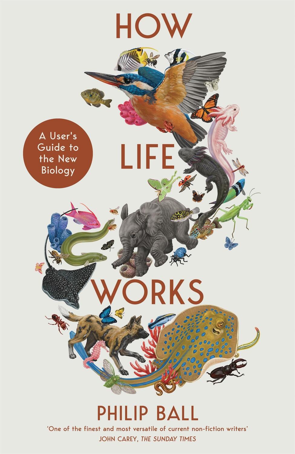 Cover: 9781529095999 | How Life Works | A User's Guide to the New Biology | Philip Ball