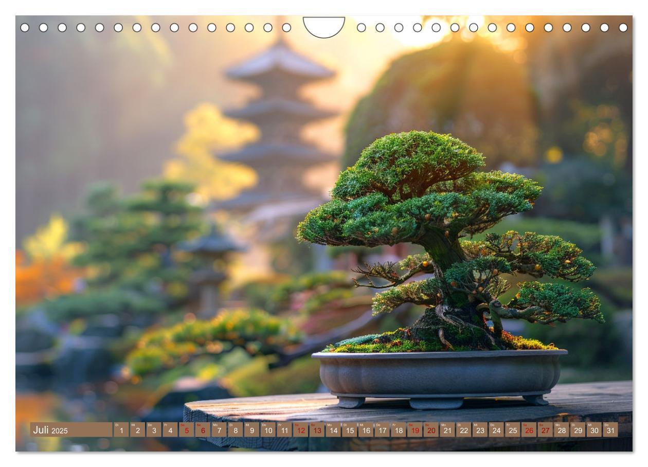 Bild: 9783383822230 | Bonsai meditativ (Wandkalender 2025 DIN A4 quer), CALVENDO...