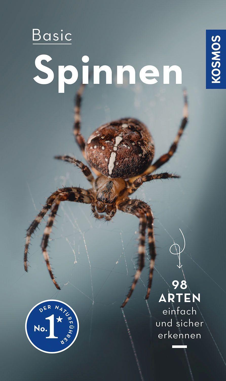 Cover: 9783440176870 | Basic Spinnen | 98 Arten einfach und sicher erkennen | Lars Wilker