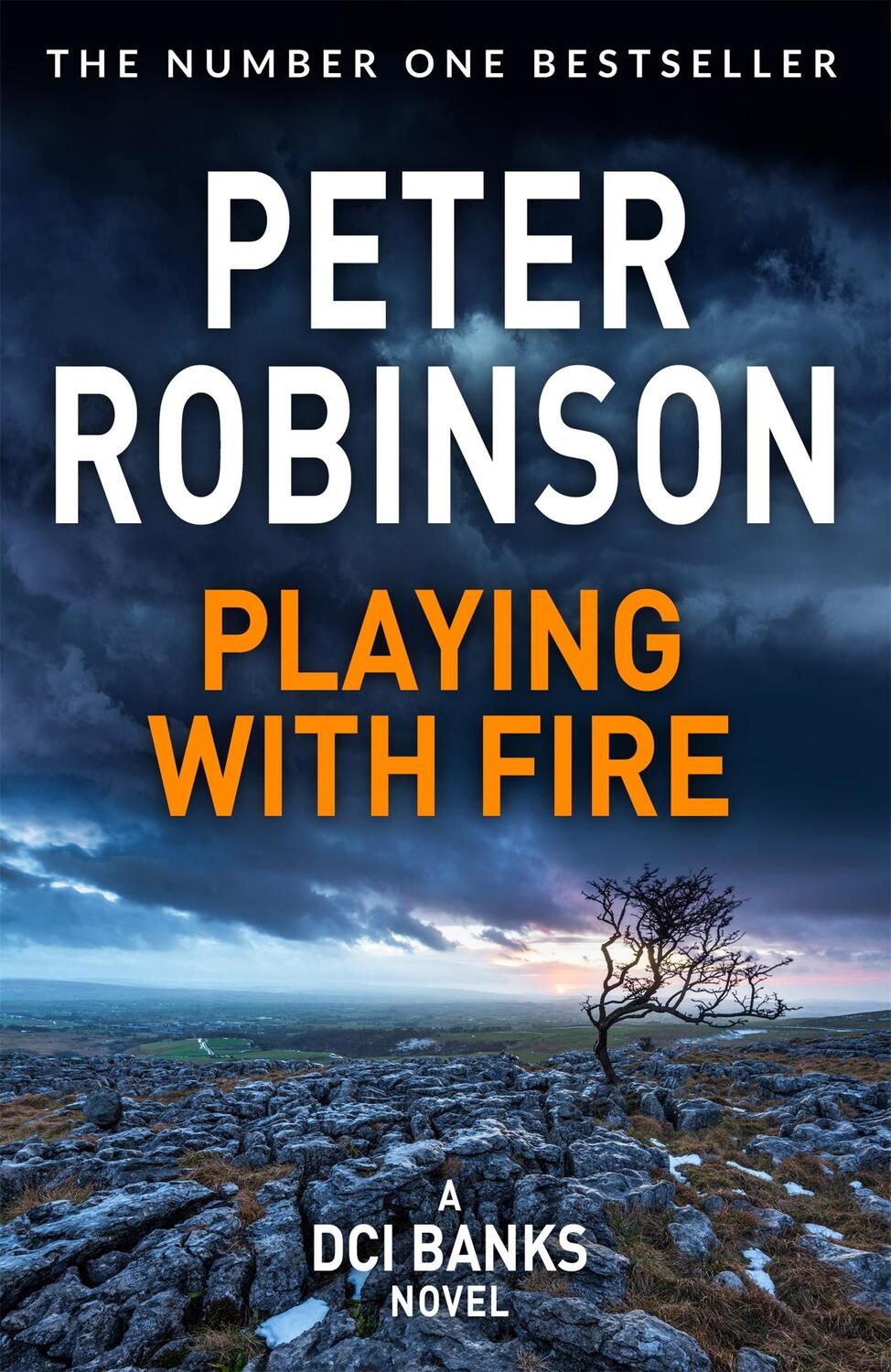 Cover: 9781509859986 | Playing With Fire | Peter Robinson | Taschenbuch | Englisch | 2021