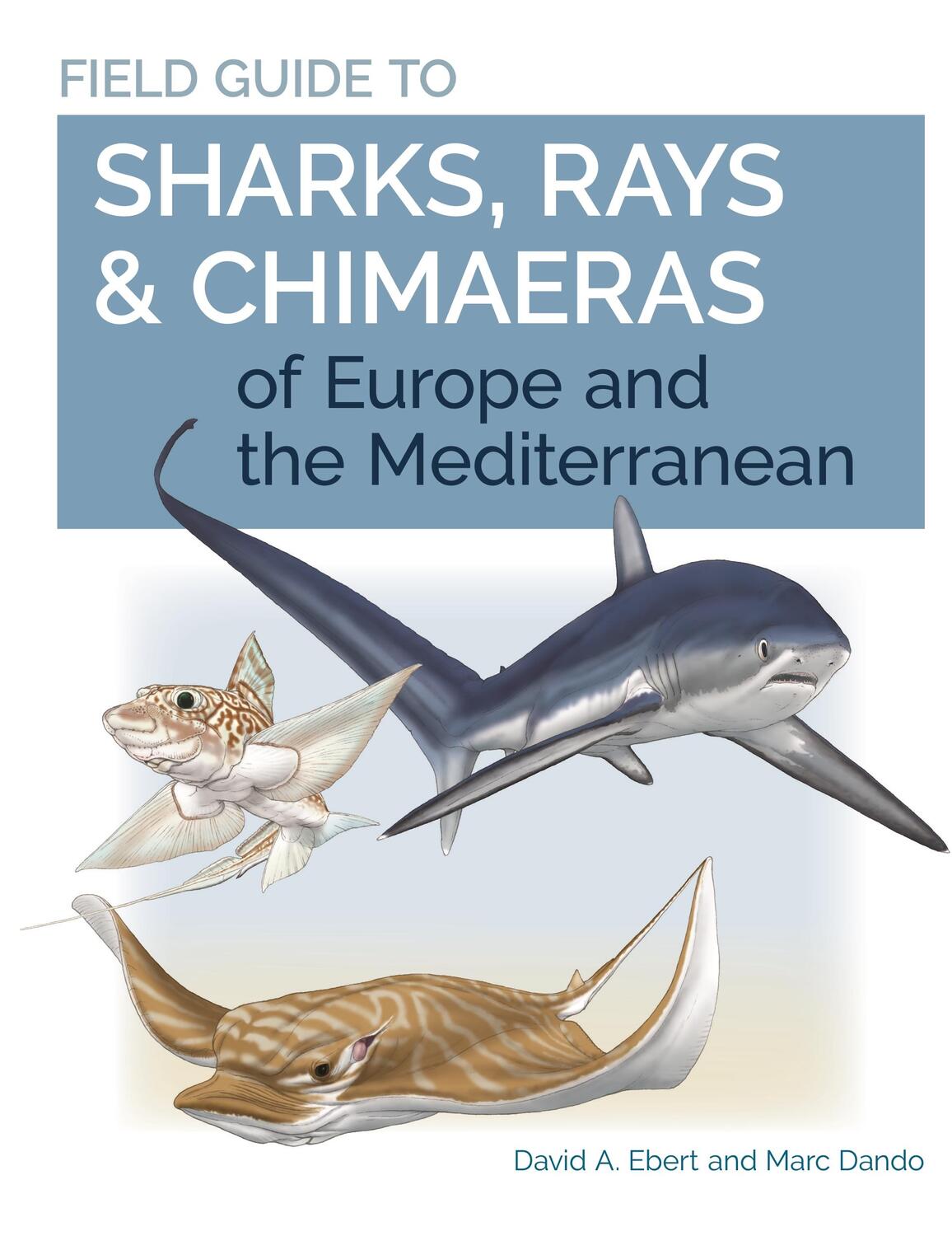 Cover: 9780691205984 | Field Guide to Sharks, Rays &amp; Chimaeras of Europe and the...