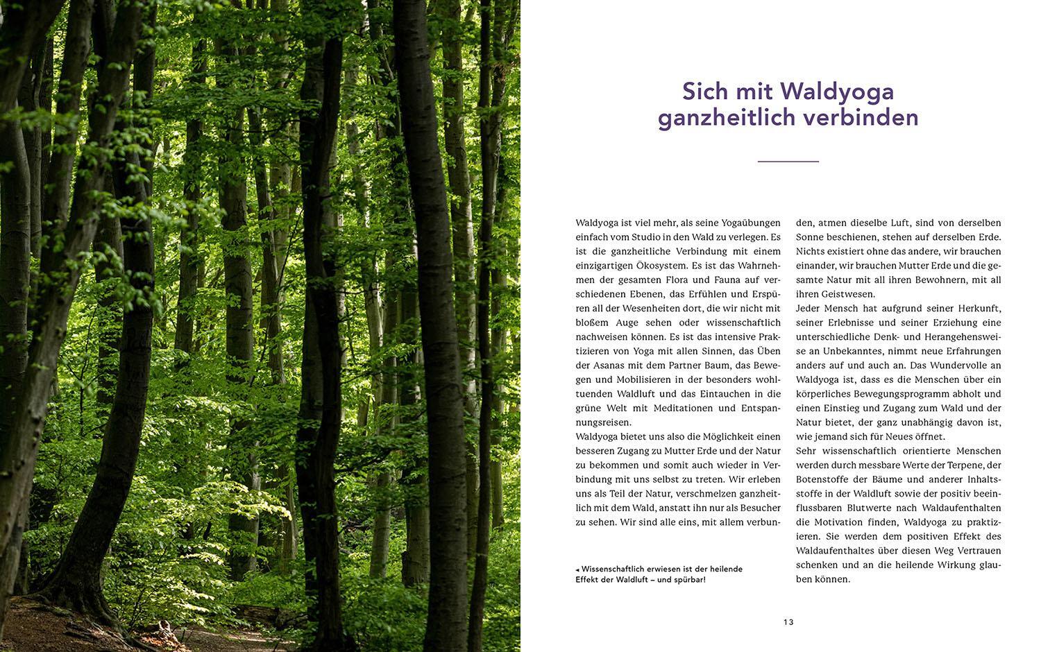 Bild: 9783968600529 | Waldyoga an Orten der Kraft | Verena Krutak | Taschenbuch | 152 S.