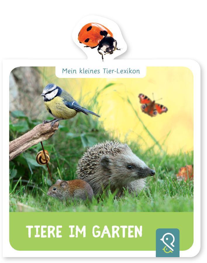 Cover: 9783946360131 | Mein kleines Tier-Lexikon - Tiere im Garten | Hannah Kastenhuber