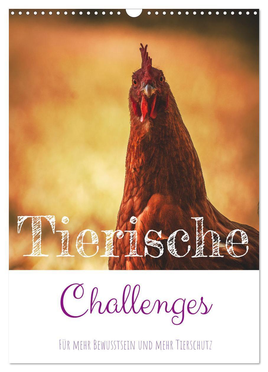 Cover: 9783435897421 | Tierische Challenges: Für mehr Bewusstsein und mehr Tierschutz...