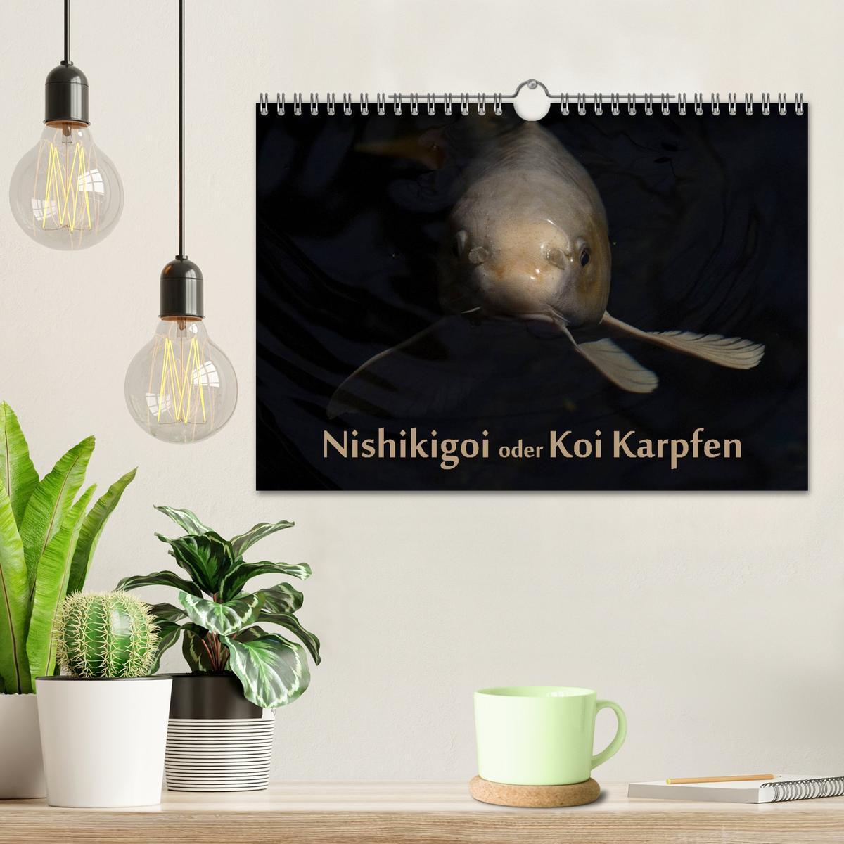 Bild: 9783435734023 | Nishikigoi oder Koi Karpfen (Wandkalender 2025 DIN A4 quer),...