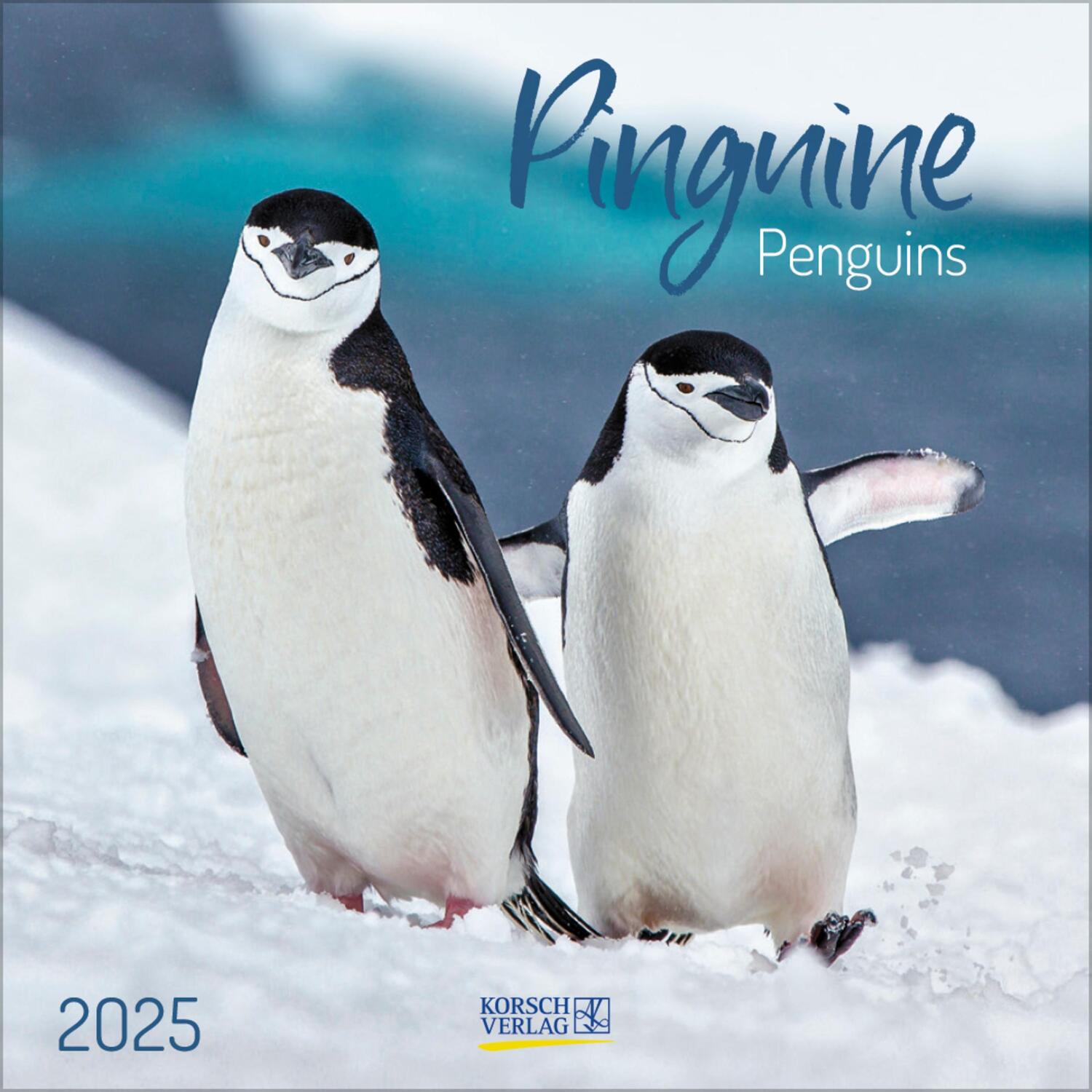 Cover: 9783731880240 | Pinguine 2025 | Verlag Korsch | Kalender | 13 S. | Deutsch | 2025