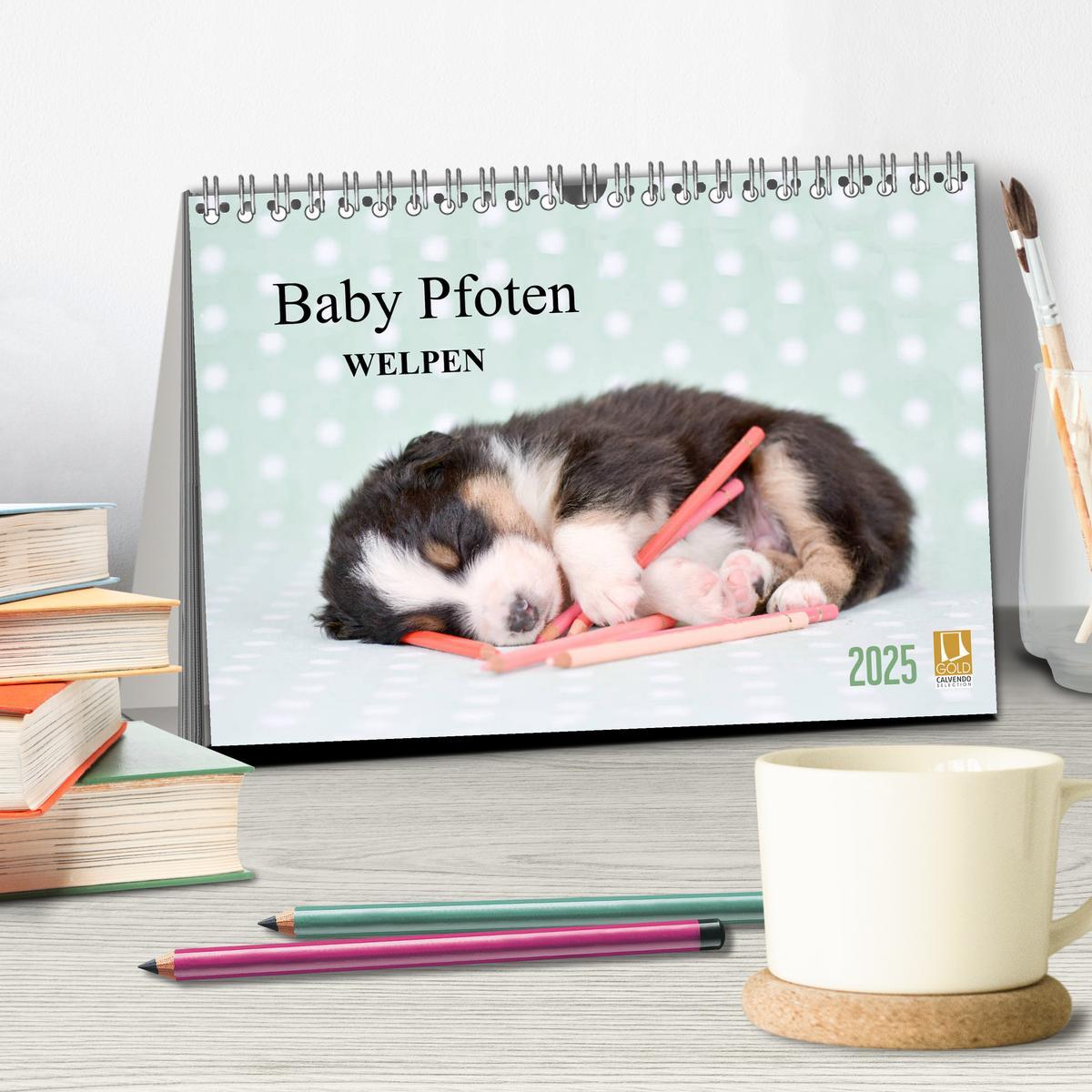 Bild: 9783435322923 | Baby Pfoten (Tischkalender 2025 DIN A5 quer), CALVENDO Monatskalender