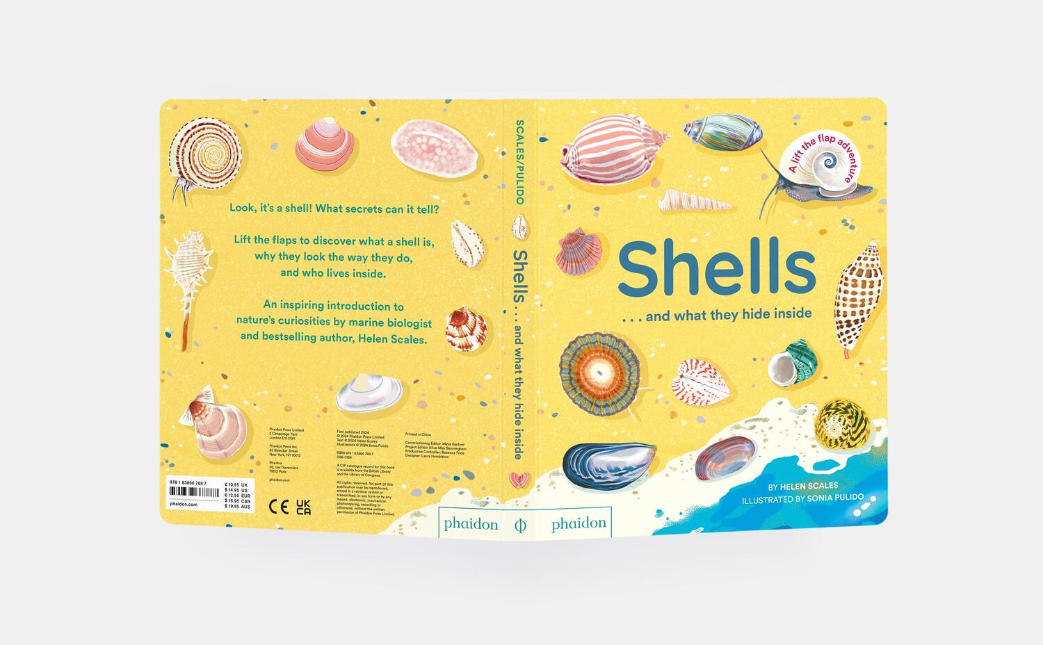 Bild: 9781838667887 | Shells... and what they hide inside | A Lift-the-Flap Adventure | Buch
