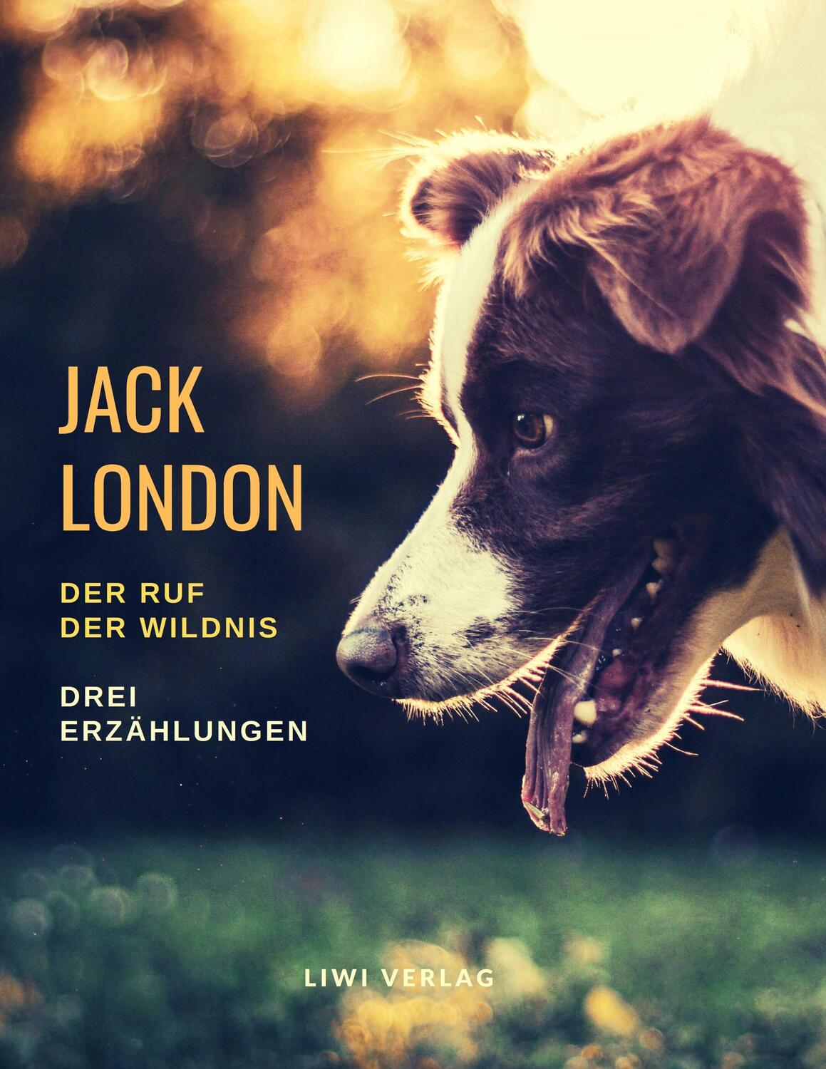 Cover: 9783965422766 | Der Ruf der Wildnis - Drei Romane | Jack London | Taschenbuch