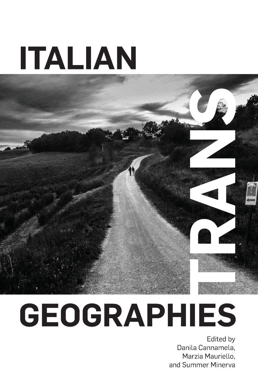 Cover: 9781438494579 | Italian Trans Geographies | Summer Minerva | Taschenbuch | Paperback