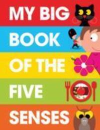 Cover: 9781908473110 | George, P: My Big Book of the Five Senses | Patrick George | Buch