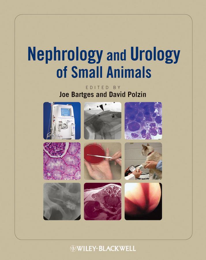 Cover: 9780813817170 | Nephrology and Urology of Small Animals | Joe Bartges (u. a.) | Buch