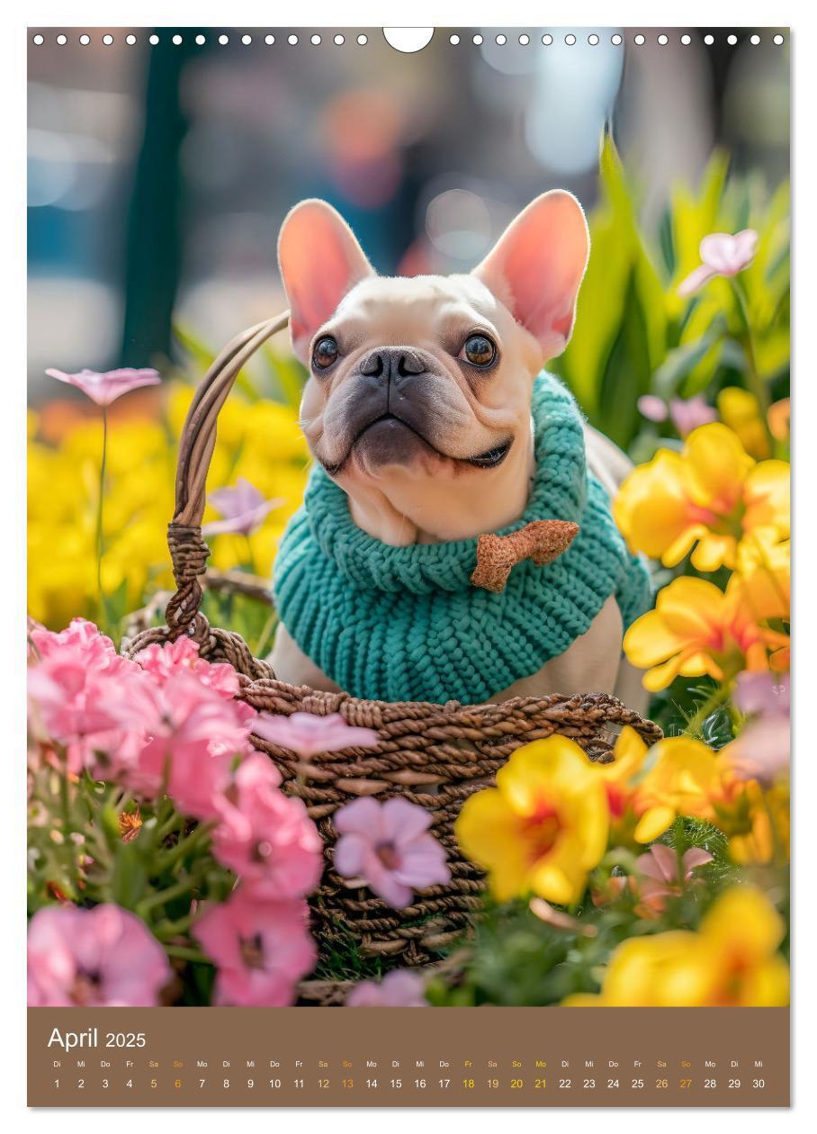 Bild: 9783383770487 | Frenchie Couture - Französische Bulldoggen in Strick-Chic...