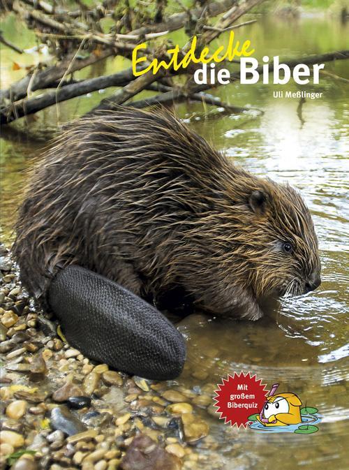 Cover: 9783866593954 | Entdecke die Biber | Mit großem Biberquiz | Ulrich Meßlinger | Buch